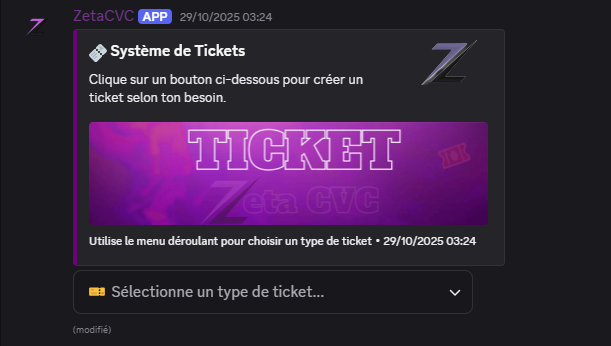 Bot Discord automation